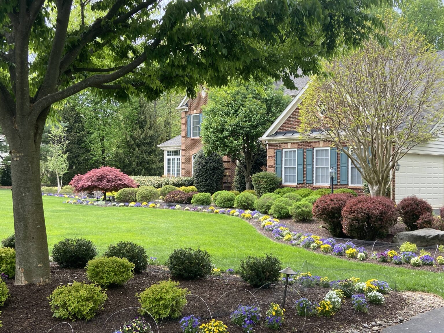 Plantings - Beechtree Landscape and Design